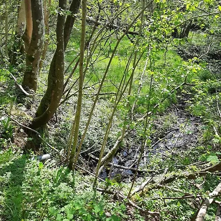 Woody לינה וארוחת בוקר